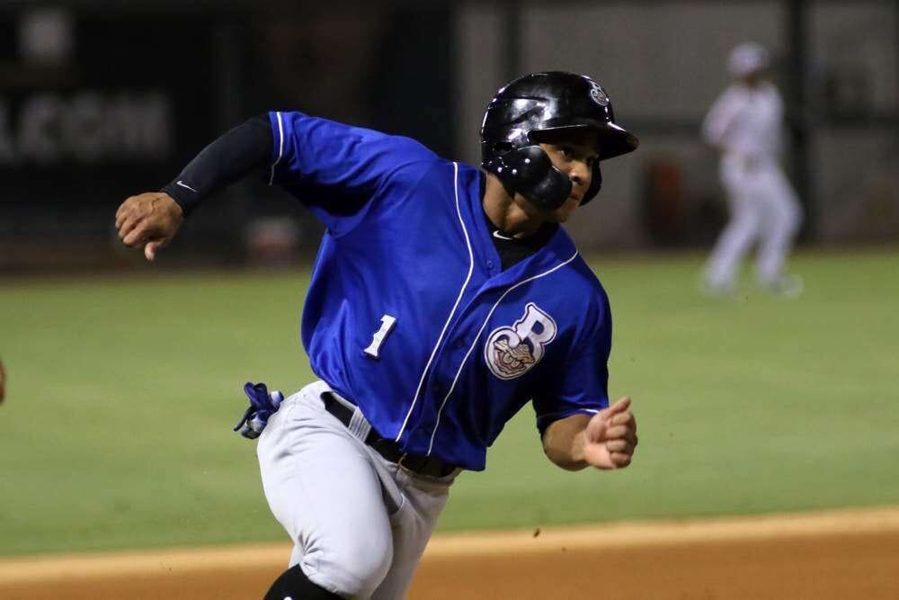 Milwaukee Brewers Prospects