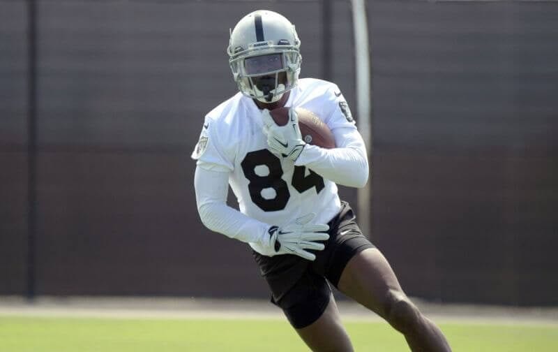 2019 WR Rankings for Standard Fantasy Football Leagues Antonio Brown 2019 WR Rankings Wide Receiver Busts