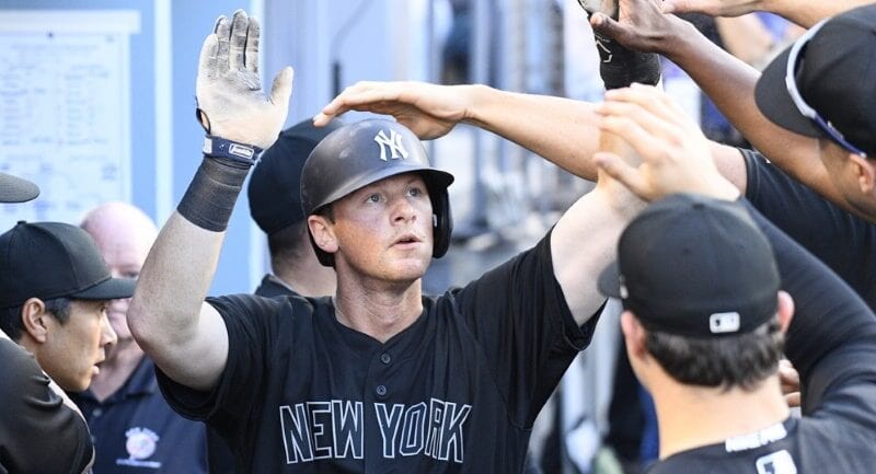 Statcast 101: Expected Stats Deep League Fliers 2024 Fantasy Baseball Waiver Wire D.J. LeMahieu