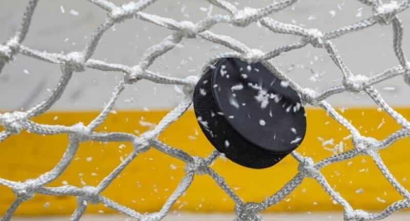 Fantasy Hockey Waiver Wire For NHL Week 21 Fantasy Hockey waiver wire