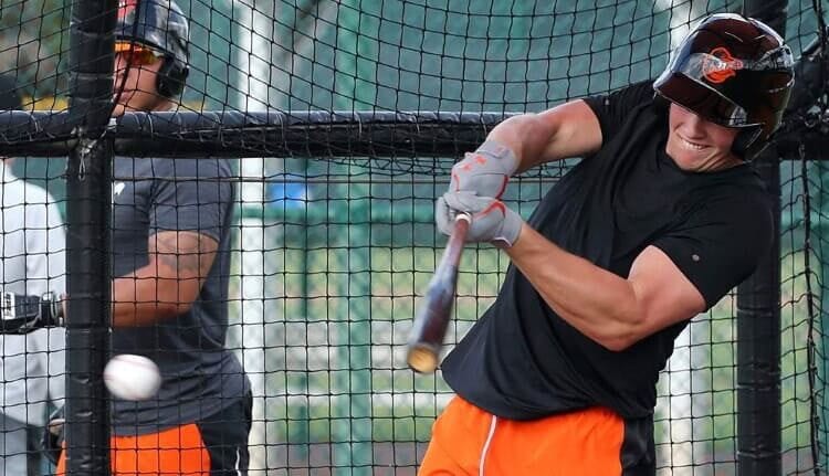 Baltimore Orioles Top Prospects for Dynasty Leagues Baltimore Orioles Top Prospects