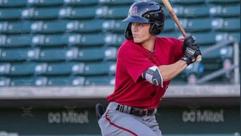 MLB Hitting Prospects : The Missing Link – Power (Revisited) Corbin Carrol Fantasy Baseball Prospects