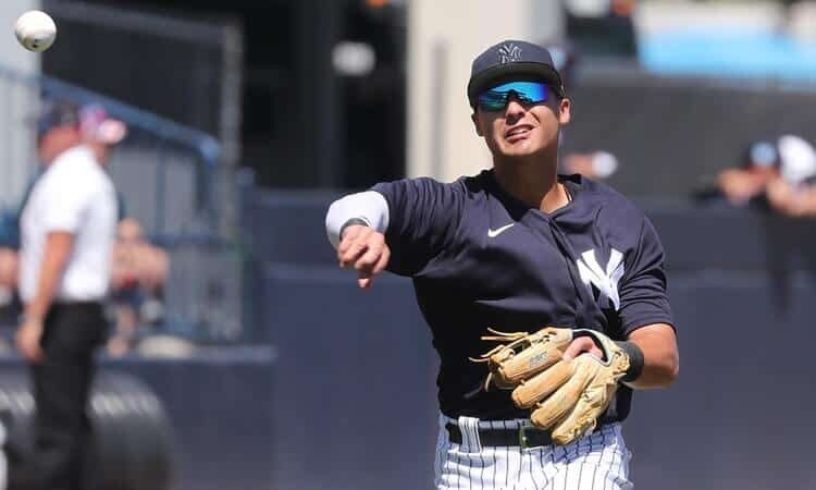 AL Fantasy Baseball Lineup Takeaways: Young Players Worth Adding? Anthony Volpe MLB Injury Report