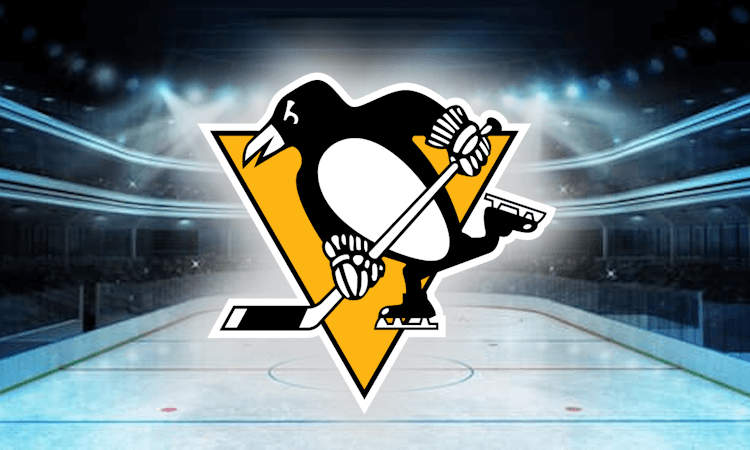Pittsburgh Penguins Fantasy Hockey Team Preview