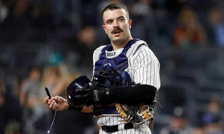 Austin Wells Fantasy Baseball New York Yankees