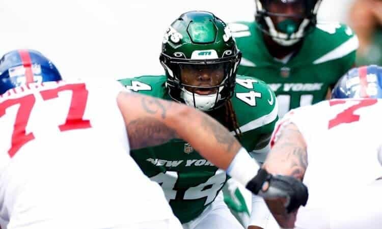 Jamien Sherwood Week 5 IDP Stock Market