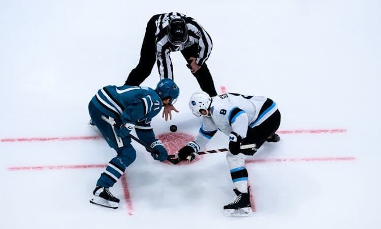 Fantasy Hockey Waiver Wire: Week 17 Forward Streams Nick Schmaltz Fantasy Hockey Waiver Wire Forwards
